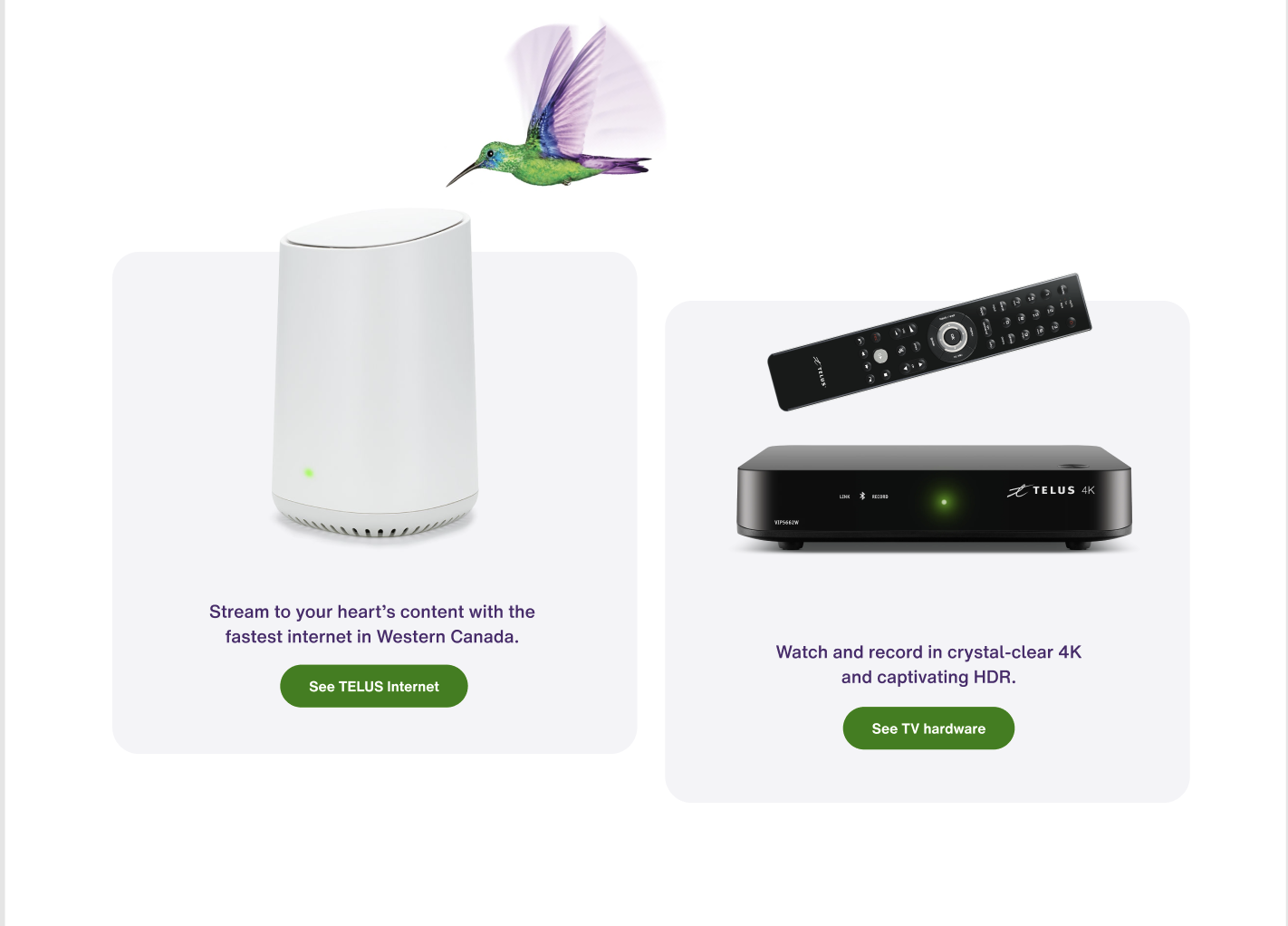 Screen Shot 2022-02-02 at 3.20.02 PM.png