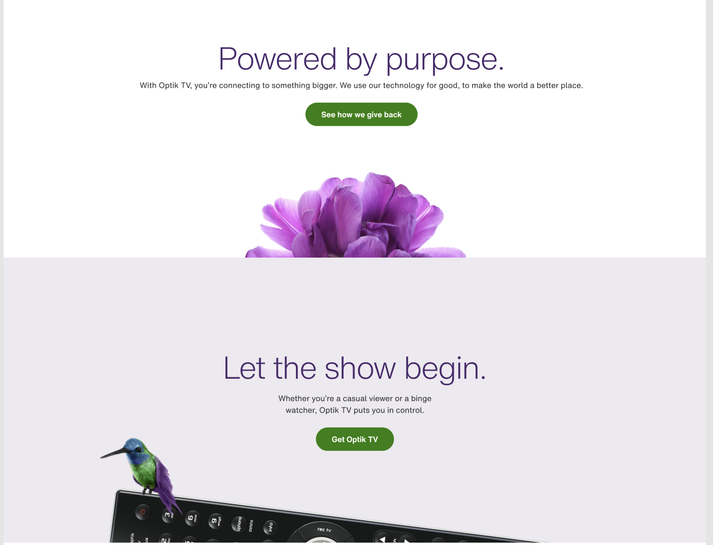 Screen Shot 2022-02-02 at 3.20.10 PM.png