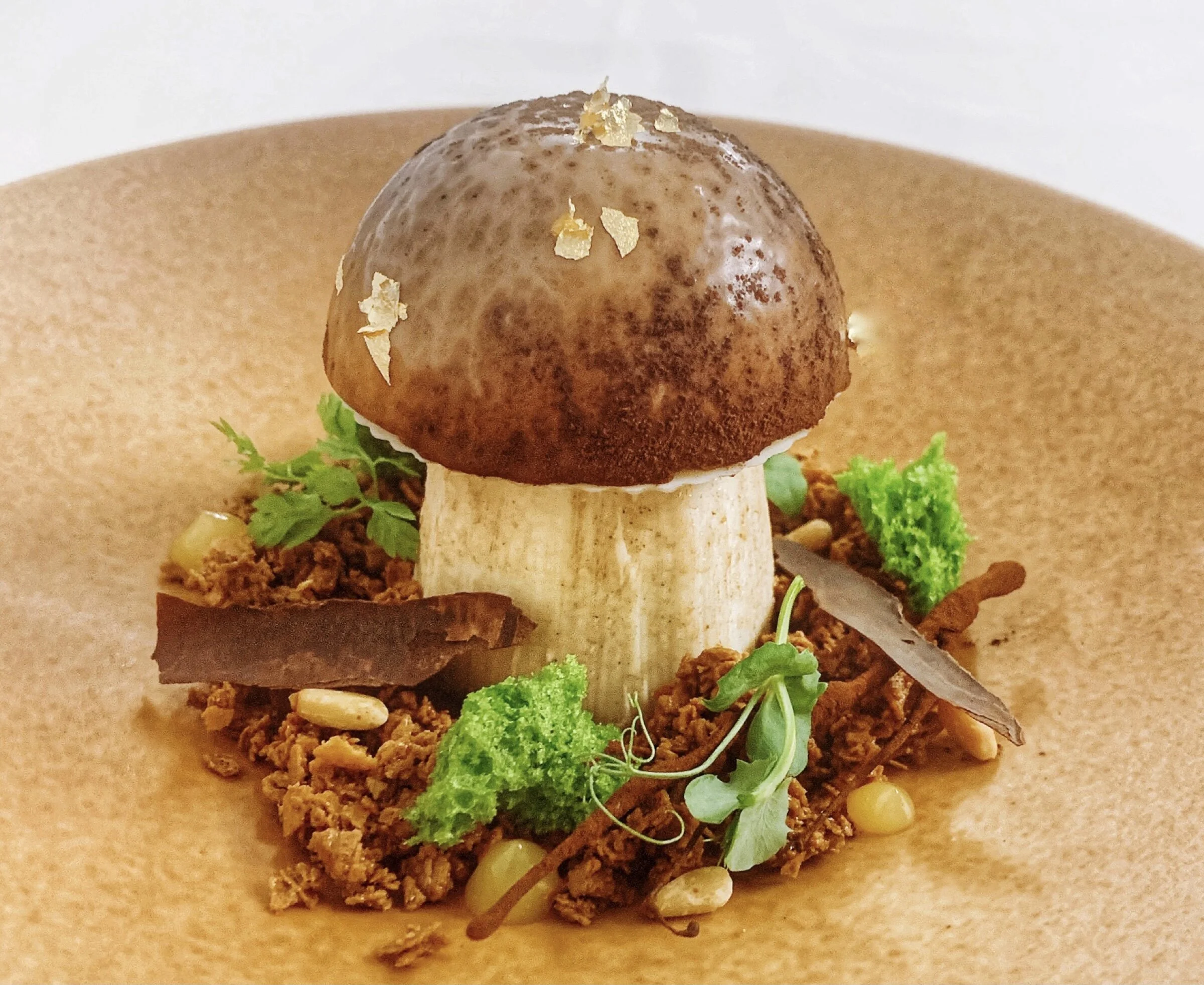 Enchanted Cocoa Forest