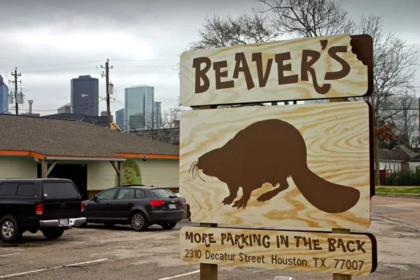 Beavers 07.jpg