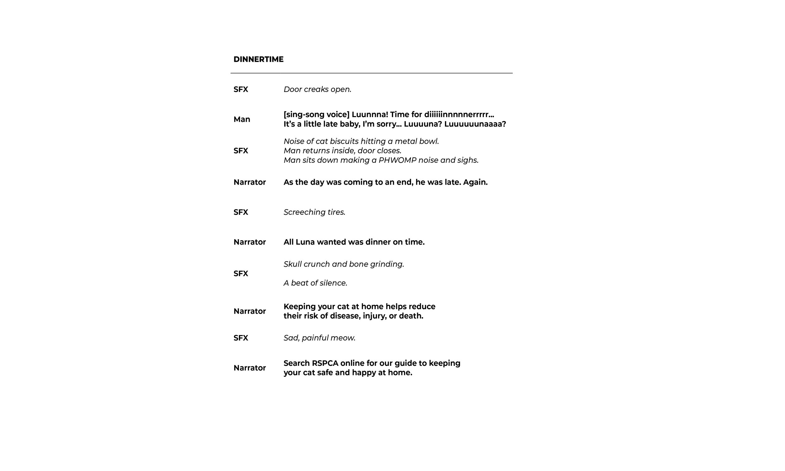 AWARD School 2024 – Brief 4 What they had to sell: RSPCA Guide to keeping your cat safe and happy at home How: 30 Second Radio Ad The proposition: Keep your housecat in the house Target audience: Cat owners and lovers who don’t understand