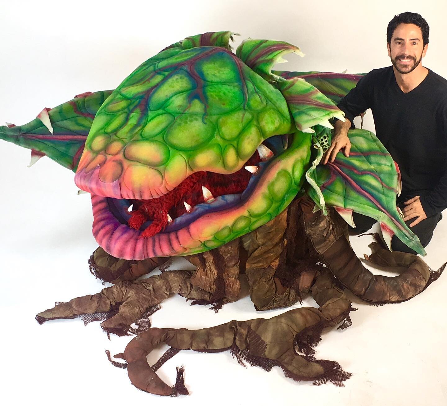 Little Shop of Horrors Puppet Rentals. This is the 3rd Audrey plant puppet of 4 altogether. There are 2 smaller ones and one large beast. DM me for a quote.😉 my bro Paul made these with his talented crew at McAvene Designs. That&rsquo;s where I lear