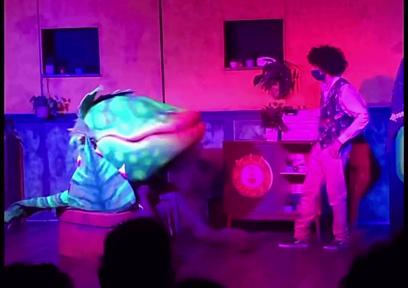 Audrey II puppet in action on stage — Little Shop of Horrors puppet rental
