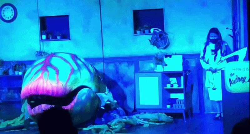Audrey II puppet moving on stage — Little Shop of Horrors puppet rental