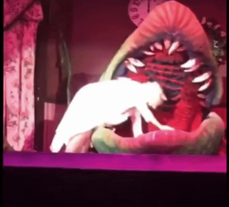Little Shop of Horrors puppet performance clip — Audrey II puppet rental