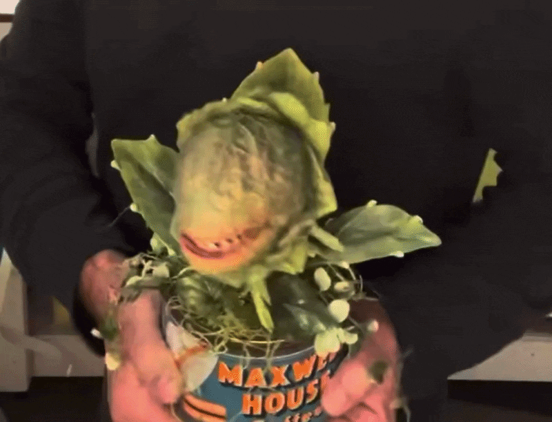 Audrey II puppet 'pup' in performance — Little Shop of Horrors puppet rental