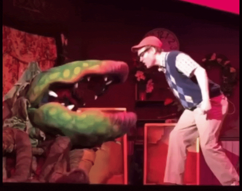 Audrey II Puppet #3 confronting Seymour during the 'Feed Me' number — Little Shop of Horrors puppet rental