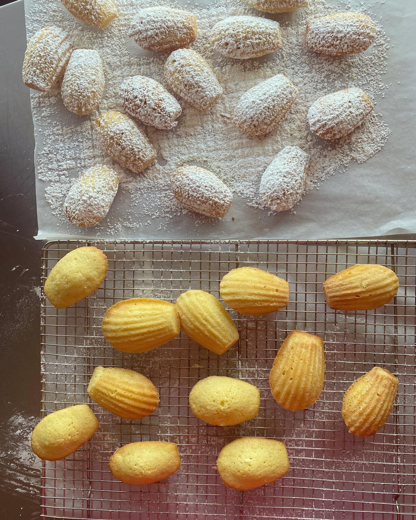 🍋 Lemon Madeleines - opps! I forgot to post yesterday. The recipe is from Doris Greenspan&rsquo;s baking Chez Moi. I have been baking from this book for a long time always with good success. I bought a  new USA Madeleine pan. I have gradually been s