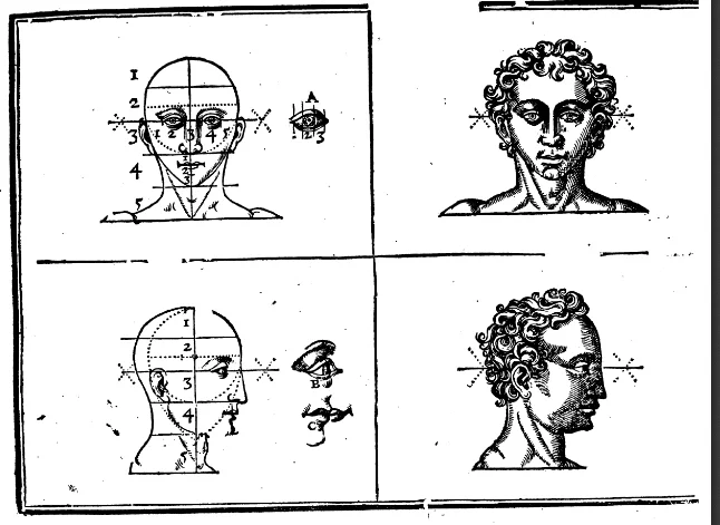 Diagram of a head - Jean Cousin