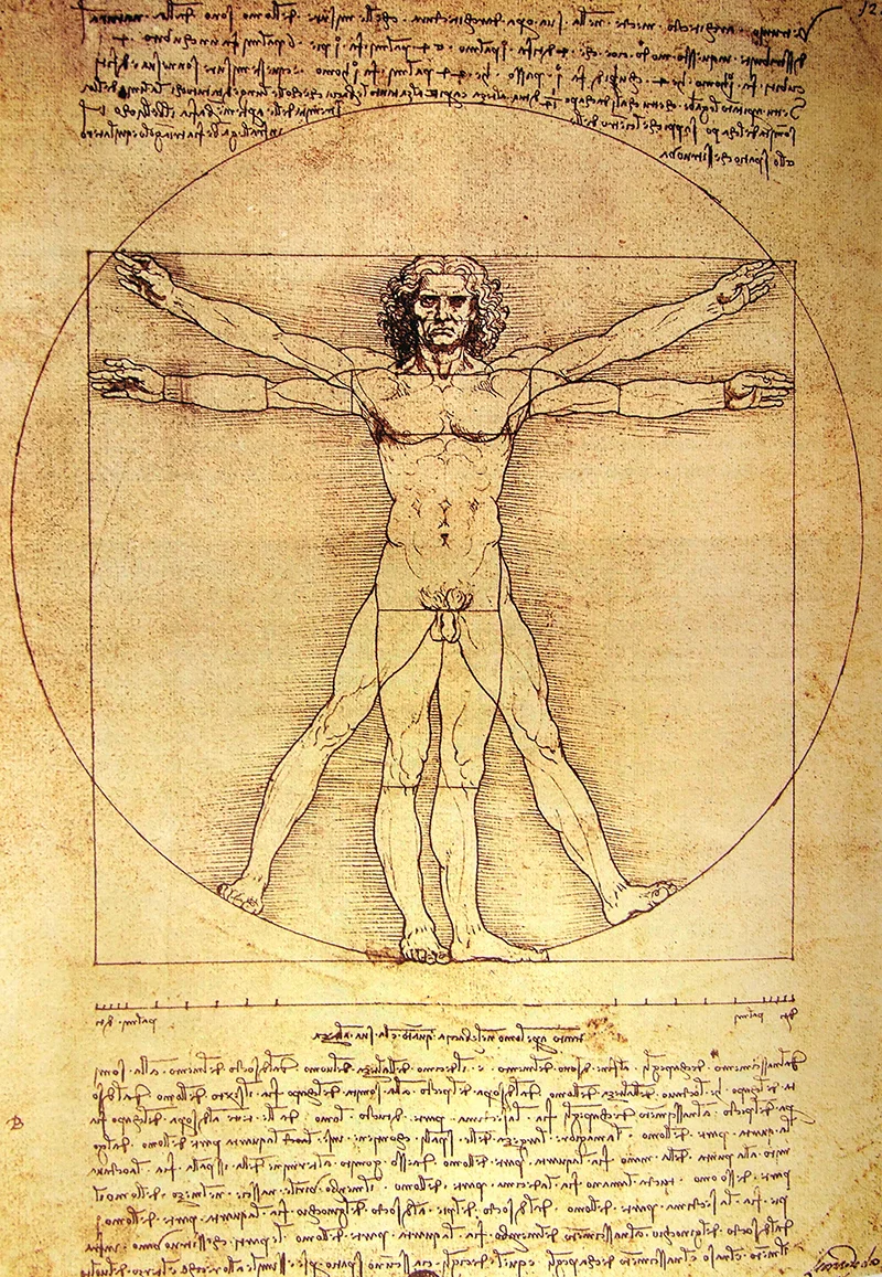 Vitruvian Man - Leonardo da Vinci