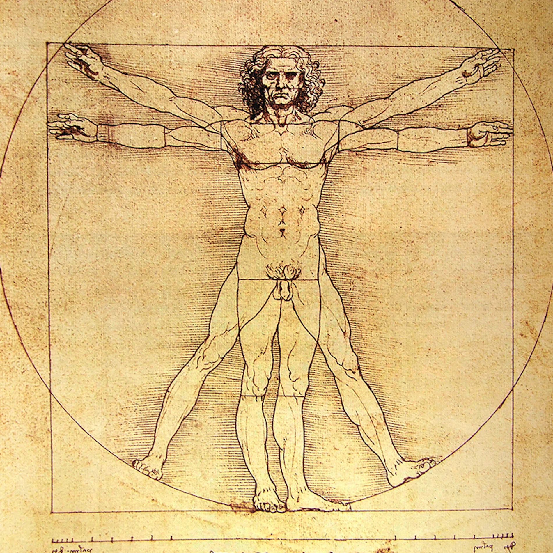 Episode 05 - Canons of proportion