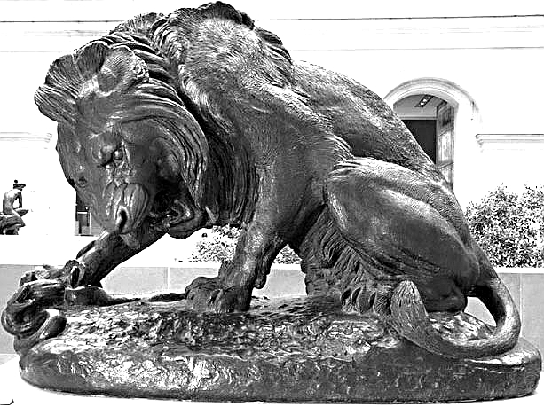 Lion rushing a Serpent - Antoine Louis Barye