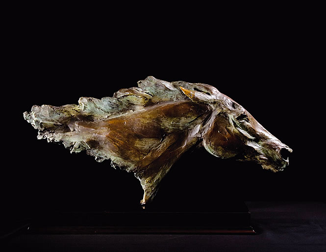Strive, by Charlie Langton.