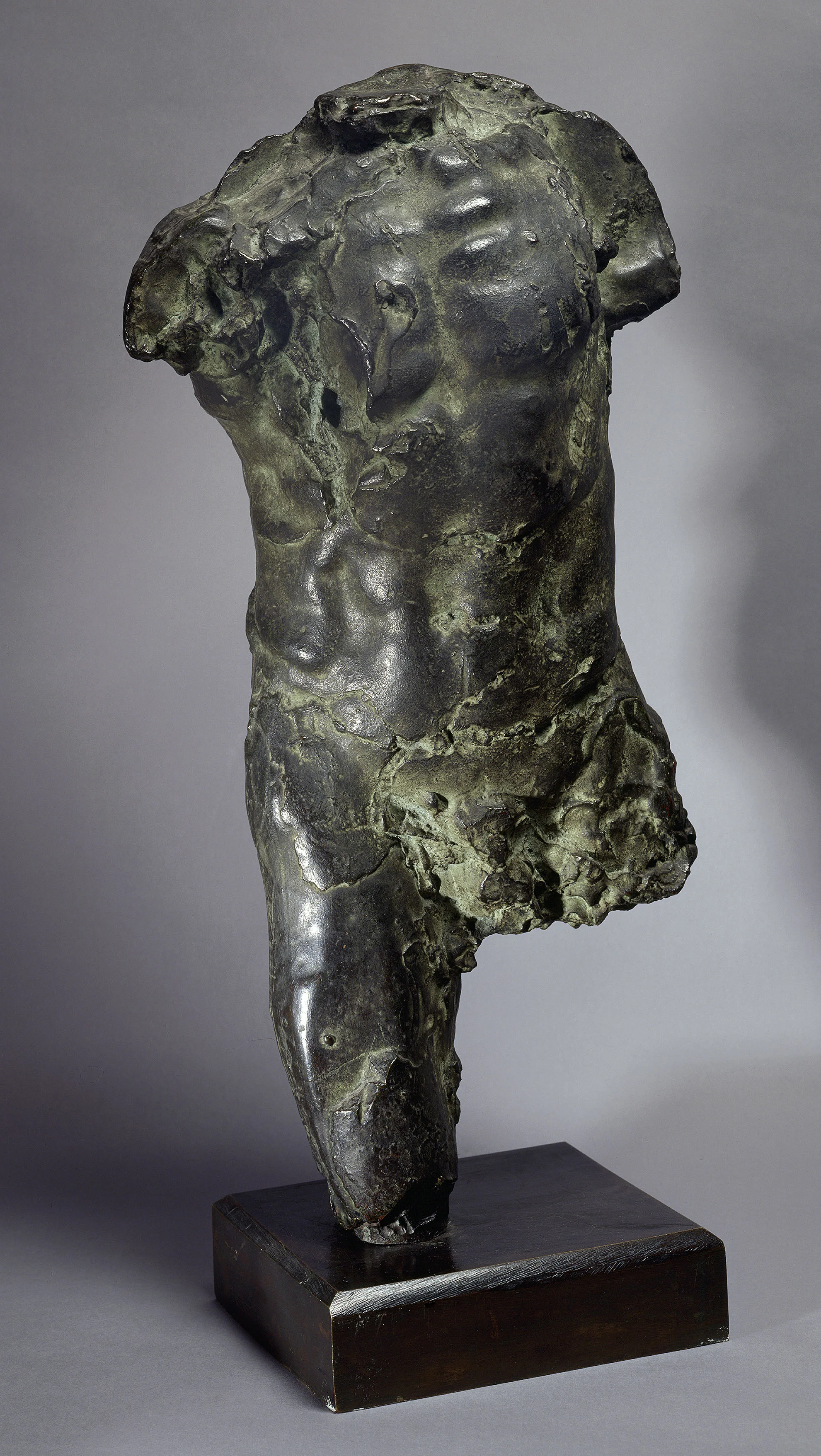 Torso of a Man