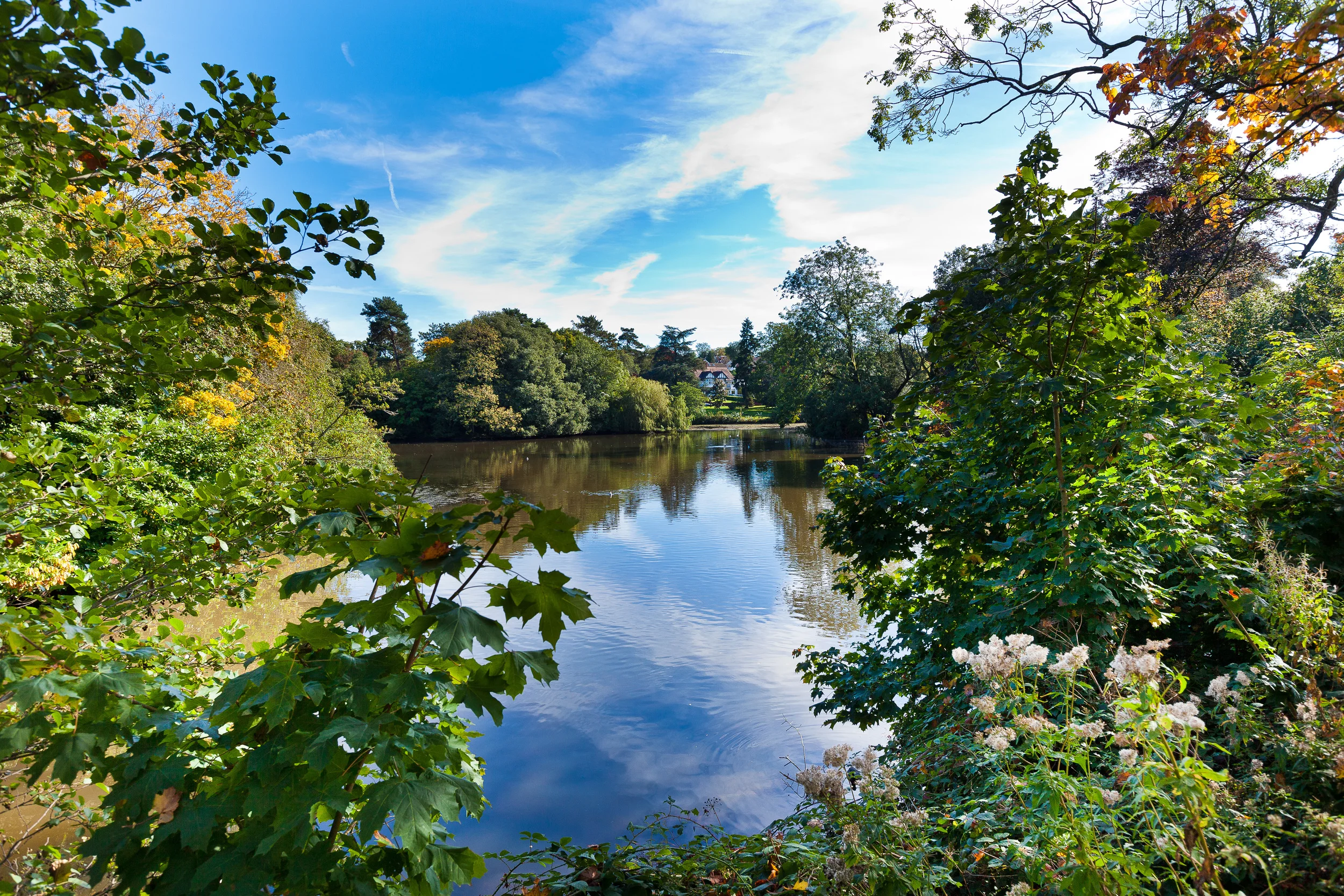 ROATH PARK_MG_5569.jpg