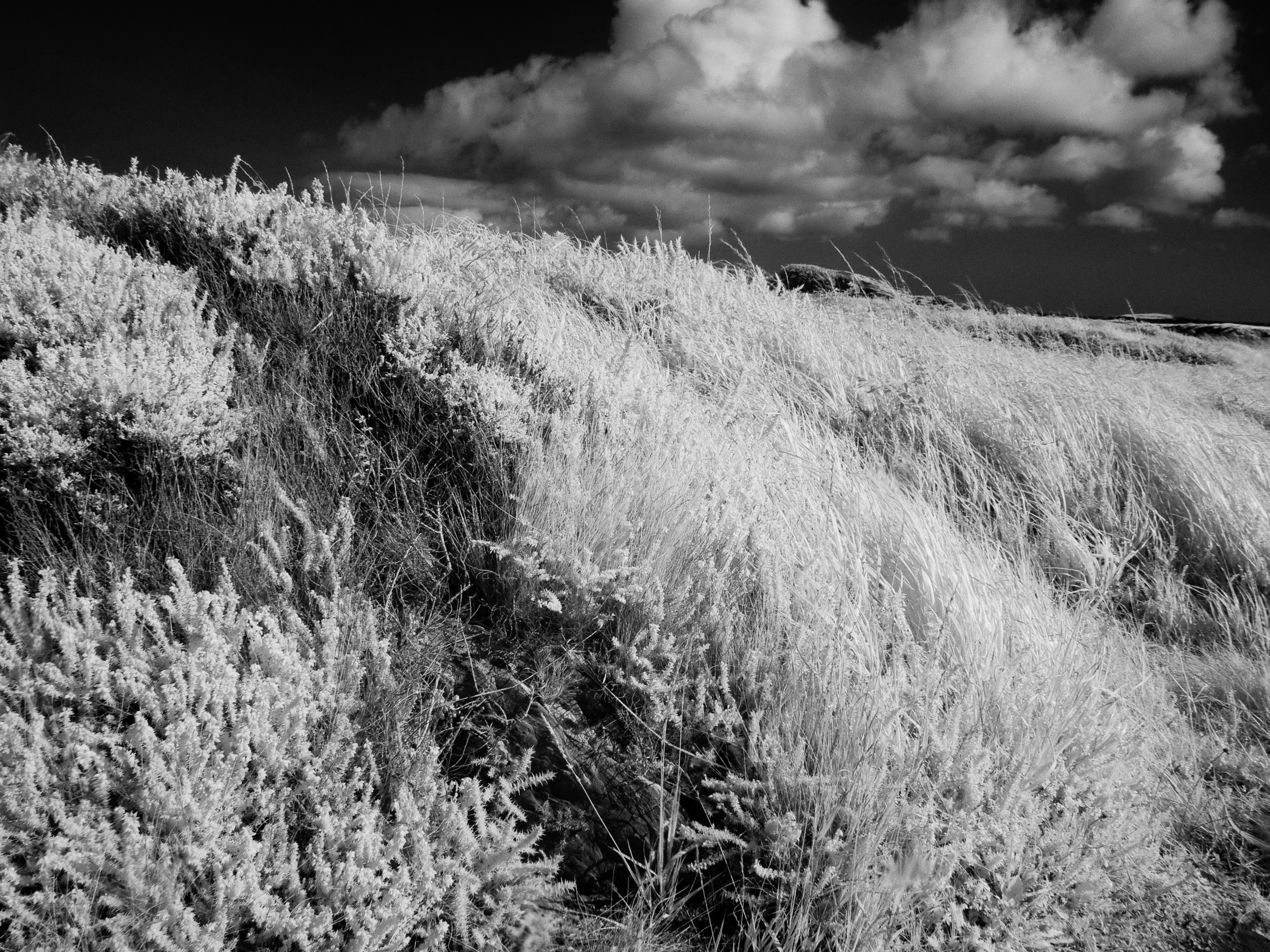 west cork.jpg