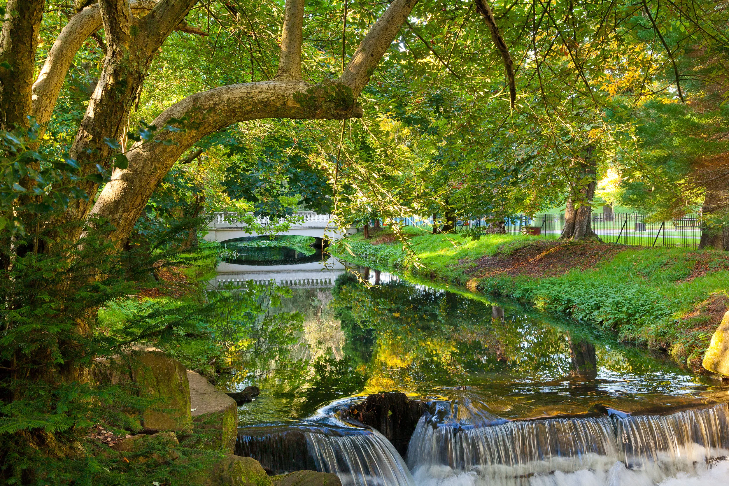 ROATH PARK_MG_9836.jpg