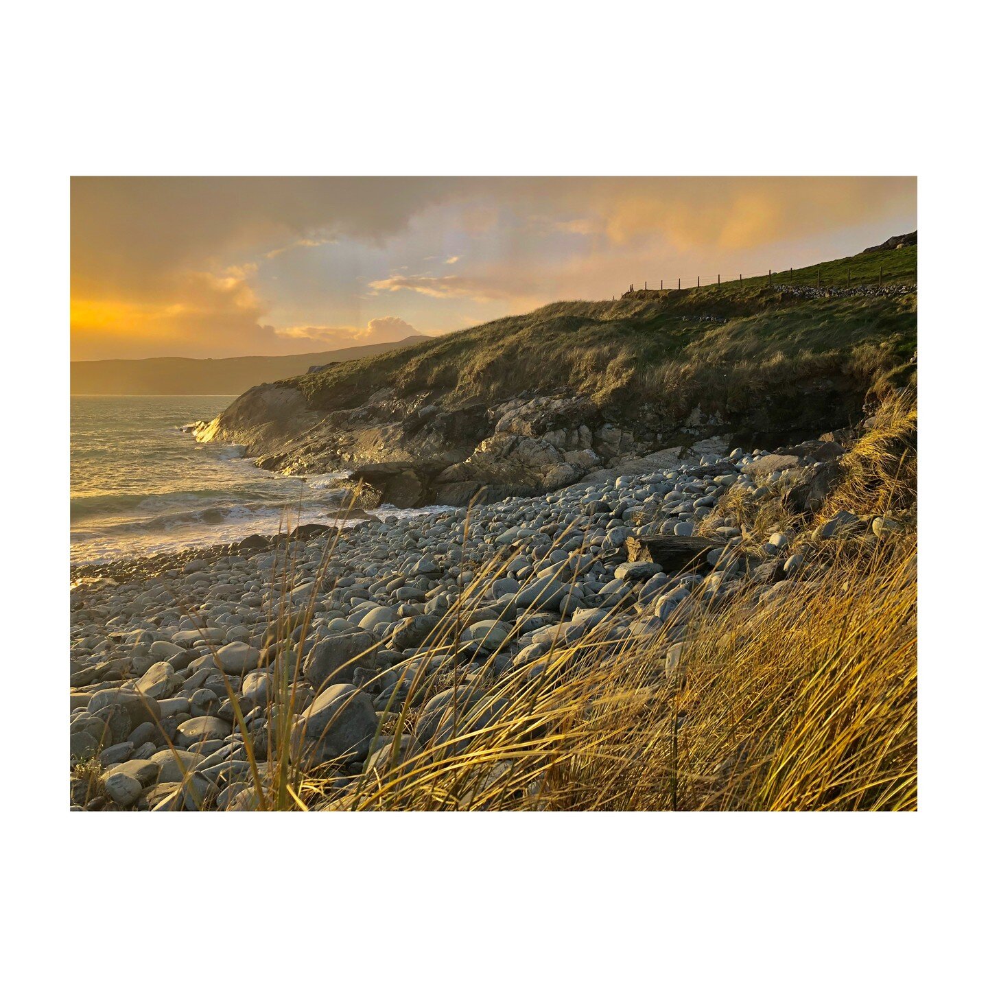 beautiful golden light of the sunset over Barleycove beach in Ireland, shot on my iPhone.

118 of 365, no reason other than the joy of image making. #photodrome #sunset #iphonephotography #coastline #ireland