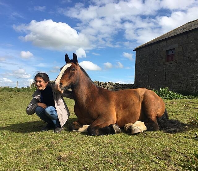 A belated HAPPY BIRTHDAY to the 16yr old (seen here with her twin🐴) #birthdaygirl #forloveofthehorse