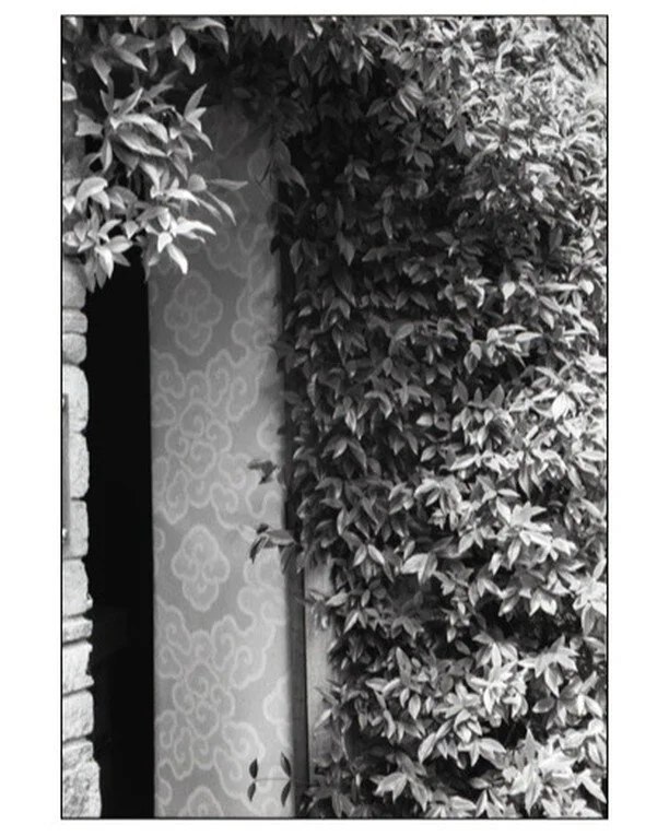 Hand painted wall-doorway, by Dharma Artist Tashi Mannox 

#dharmaartist#handpainted #doorways#ivy#tibetencalligrapher#hayonwye@tashimannox#buddistmonk#leicam#hp5plus#blackandwhitephotography#analogphotography#35mmfilm@#50mmlens#weyvalley#calligraphe