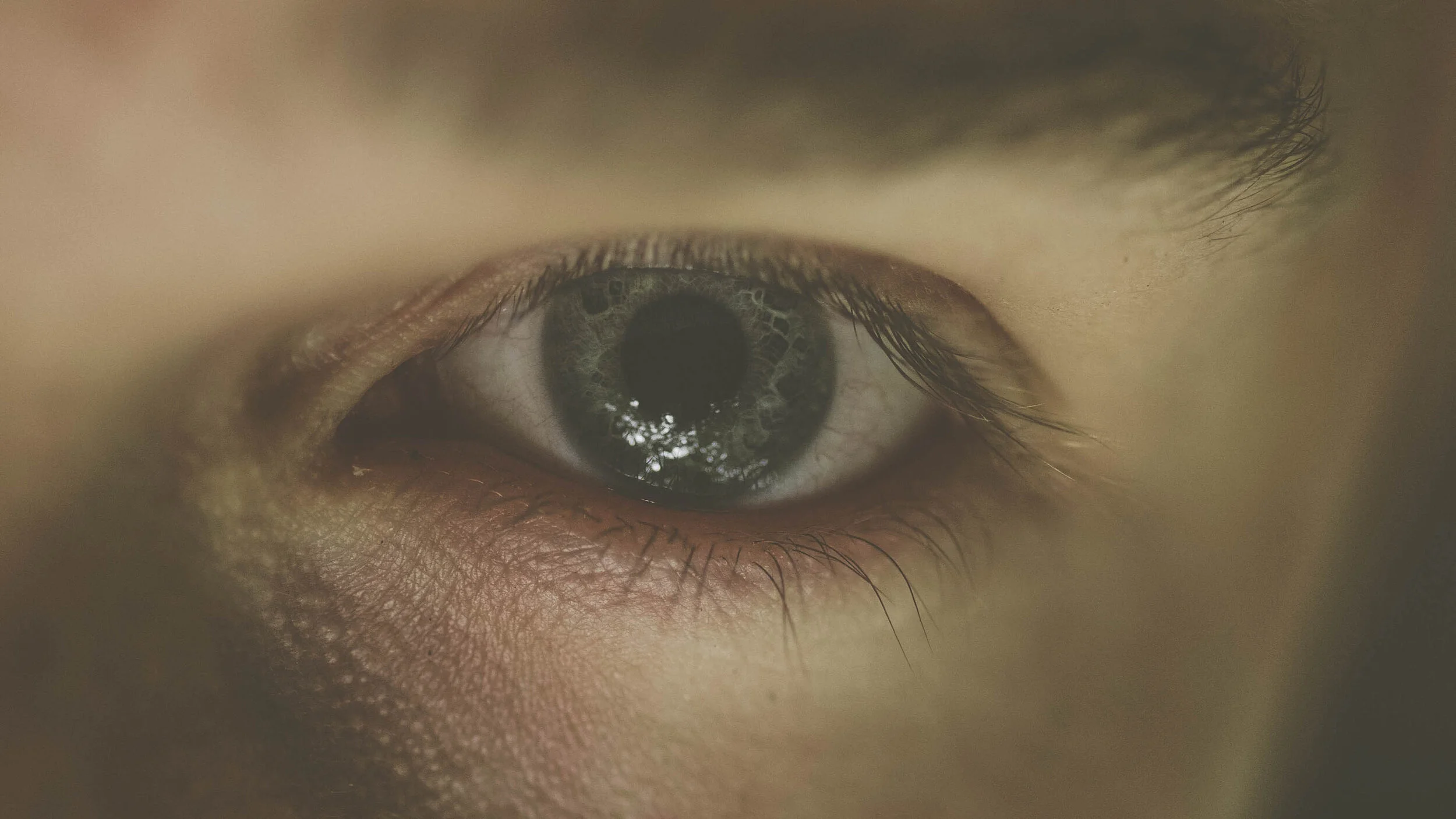 When All The Bees Flew Away | Official Teaser Trailer 2017