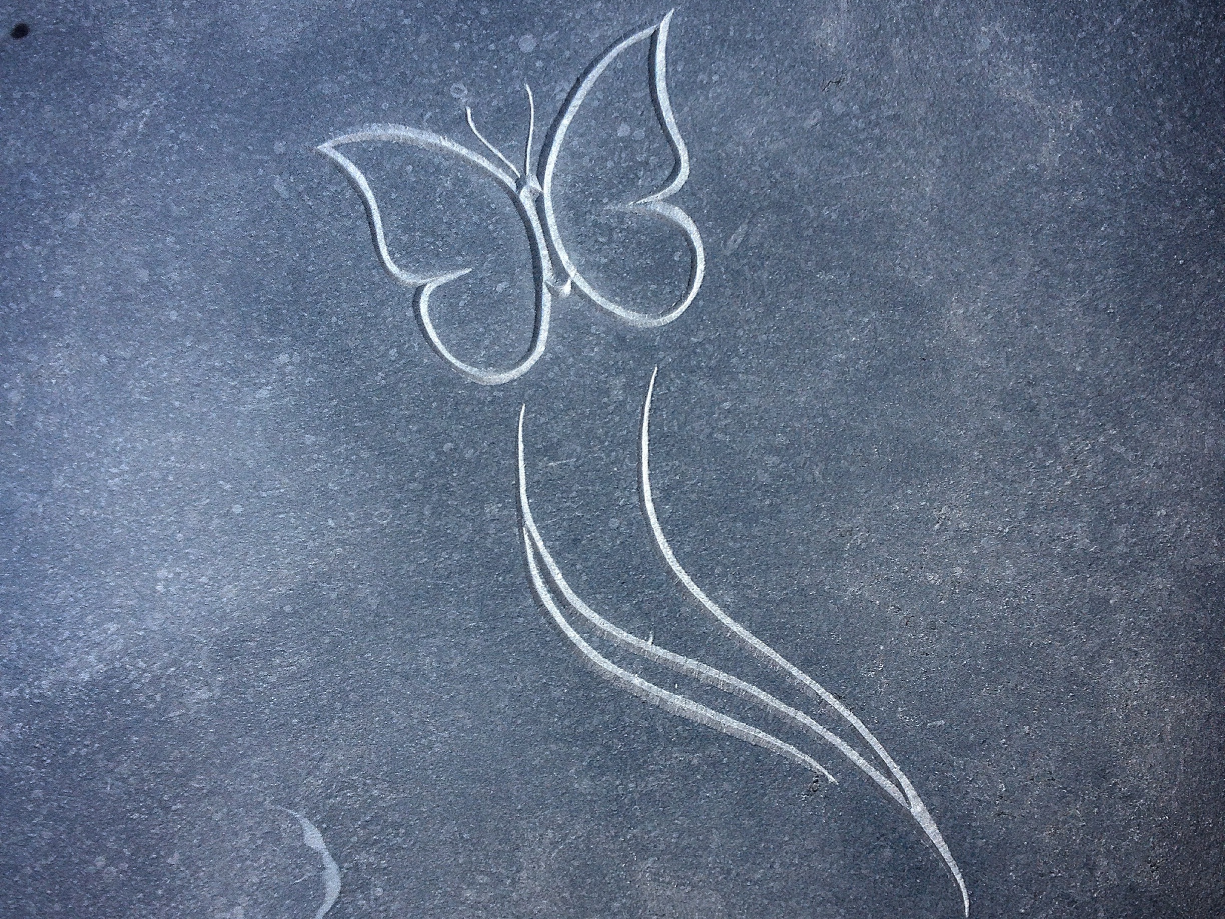 Carved Butterfly