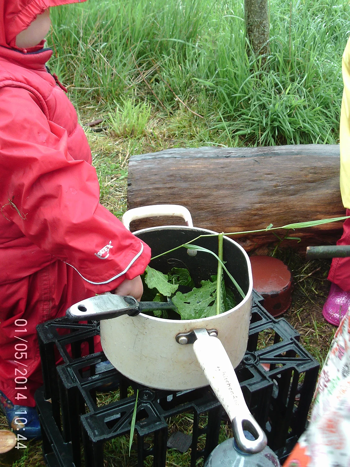 Using Loppers! — Welton Free Rangers Forest School Nursery