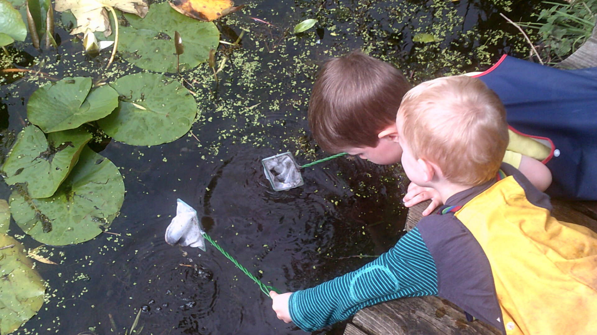 Pond Dipping — Welton Free Rangers Forest School Nursery