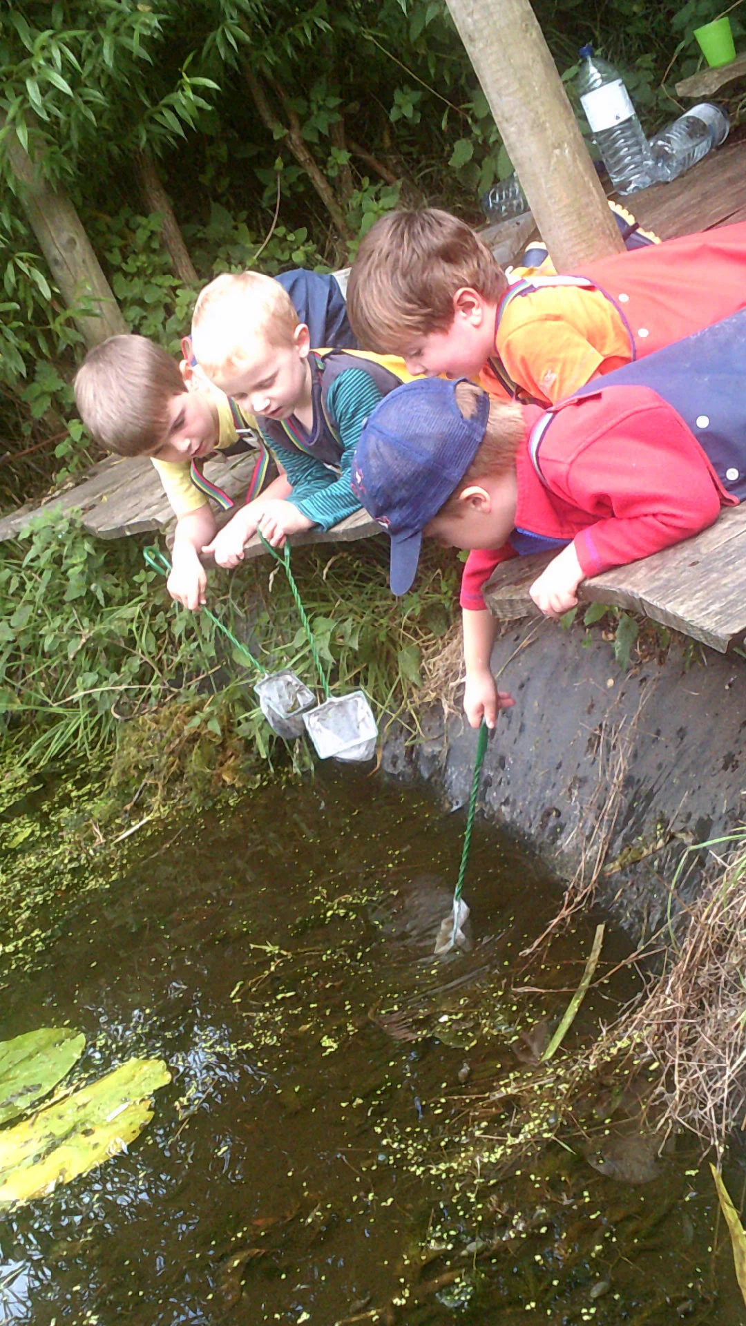 Pond Dipping — Welton Free Rangers Forest School Nursery