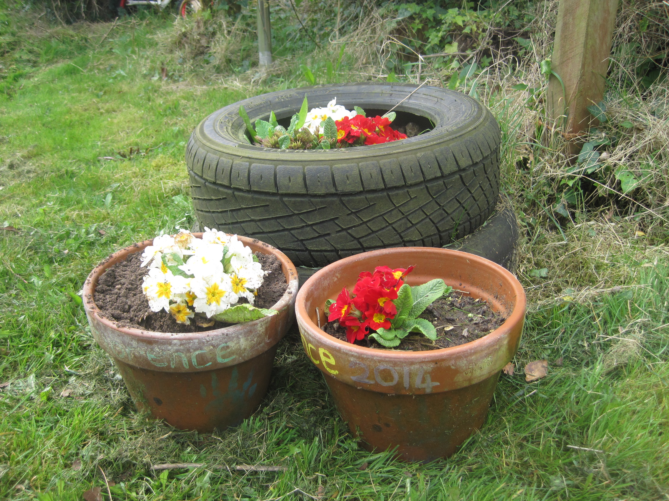 Pots and Plots with the Den