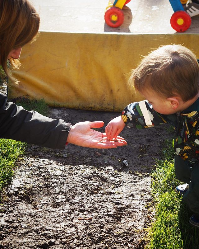 Sharing first experiences.
🐛 🕷 🐌 
Learning to:
1) Step outside our comfort zone with the support of others
2) Building empathy and compassion for the natural world
.
#muddywildhappychild 
#theresawormatthebottomofthegarden