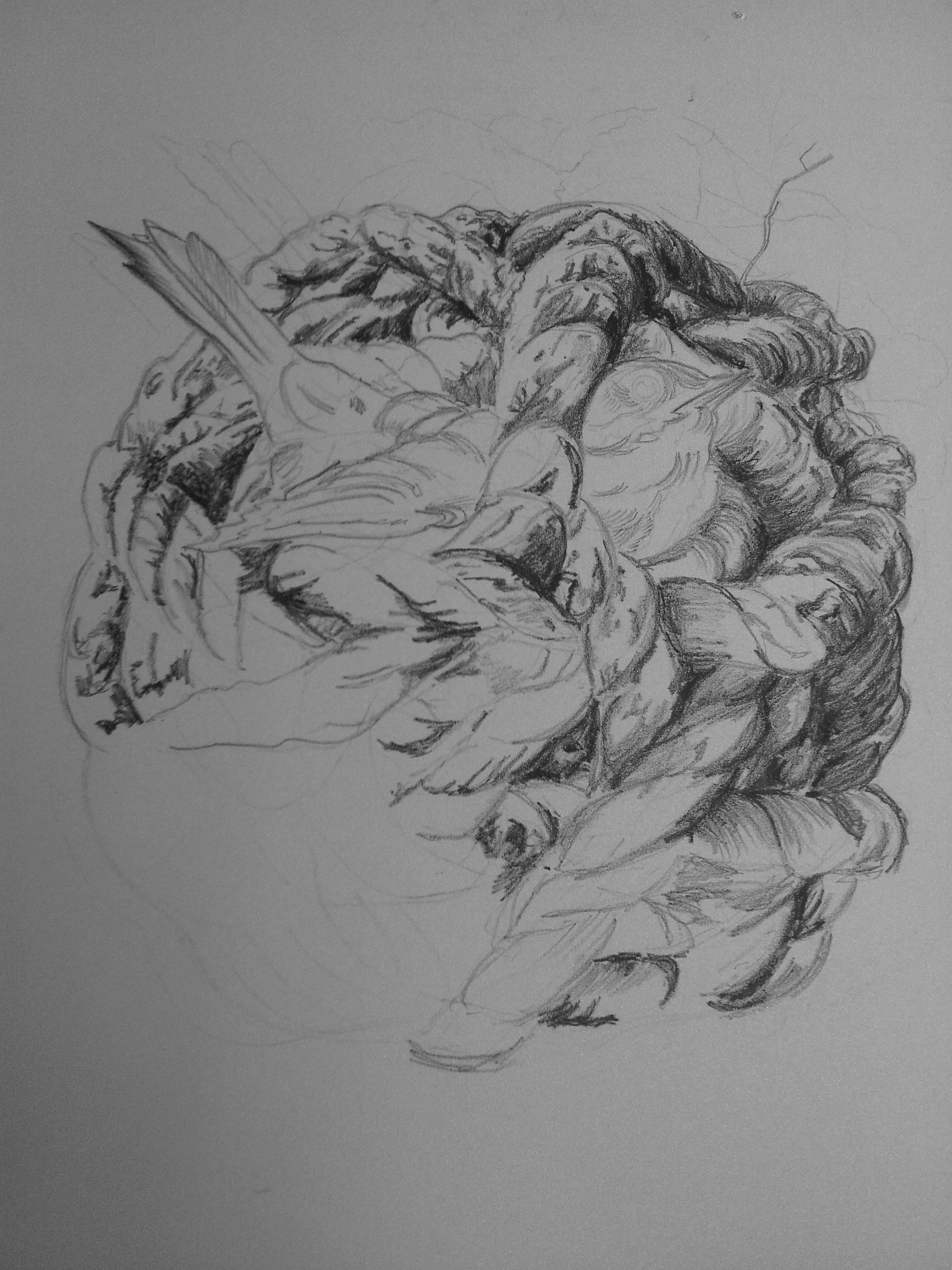 litho.jpg