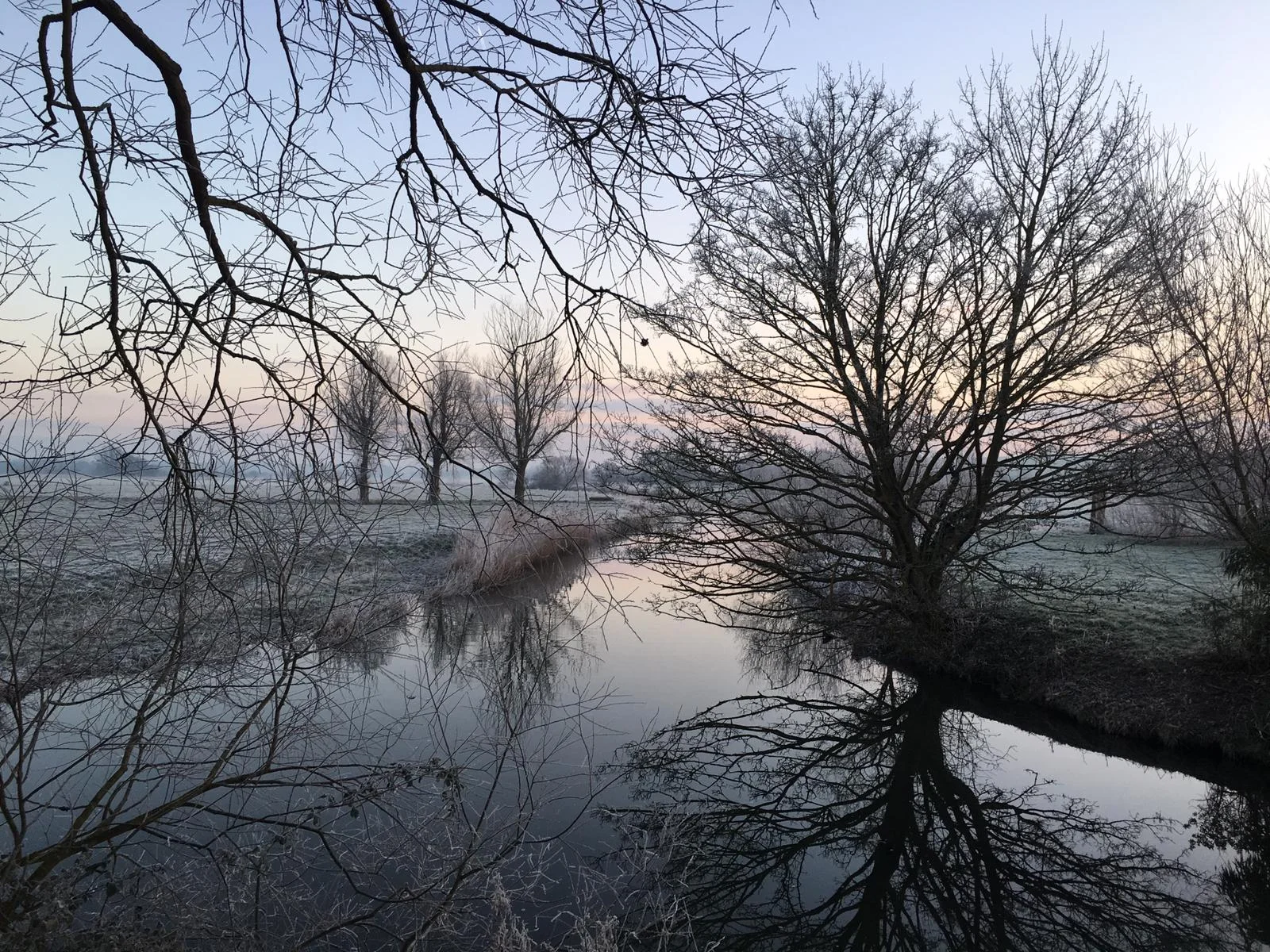 A peaceful winter scene at dawn with leafless trees reflected in a calm river. The sky has soft pastel colors with a hint of morning light.