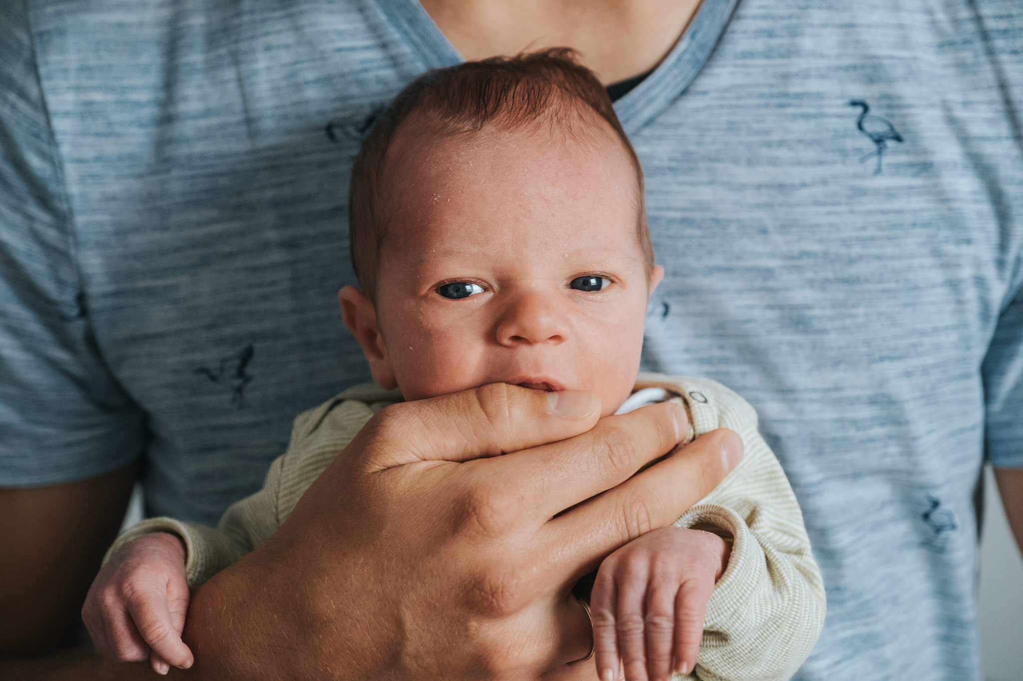 Mil newborn stijn willems photography heverlee