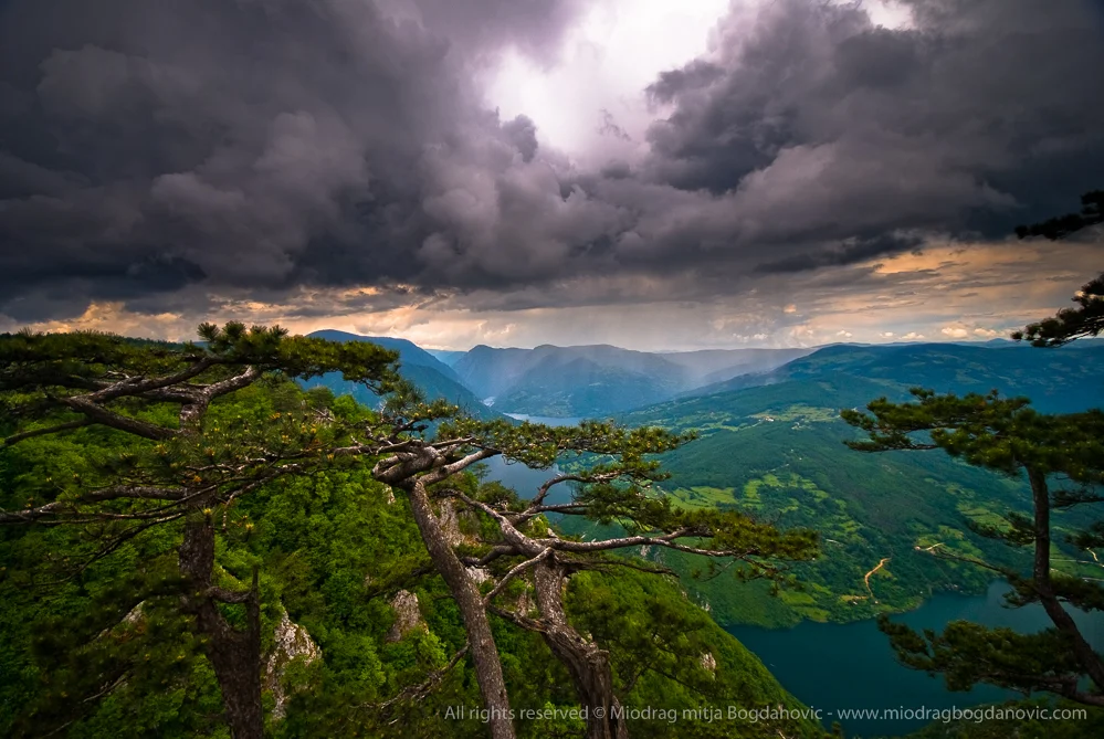 Miodrag_mitja_Bogdanovic-4583-2.jpg