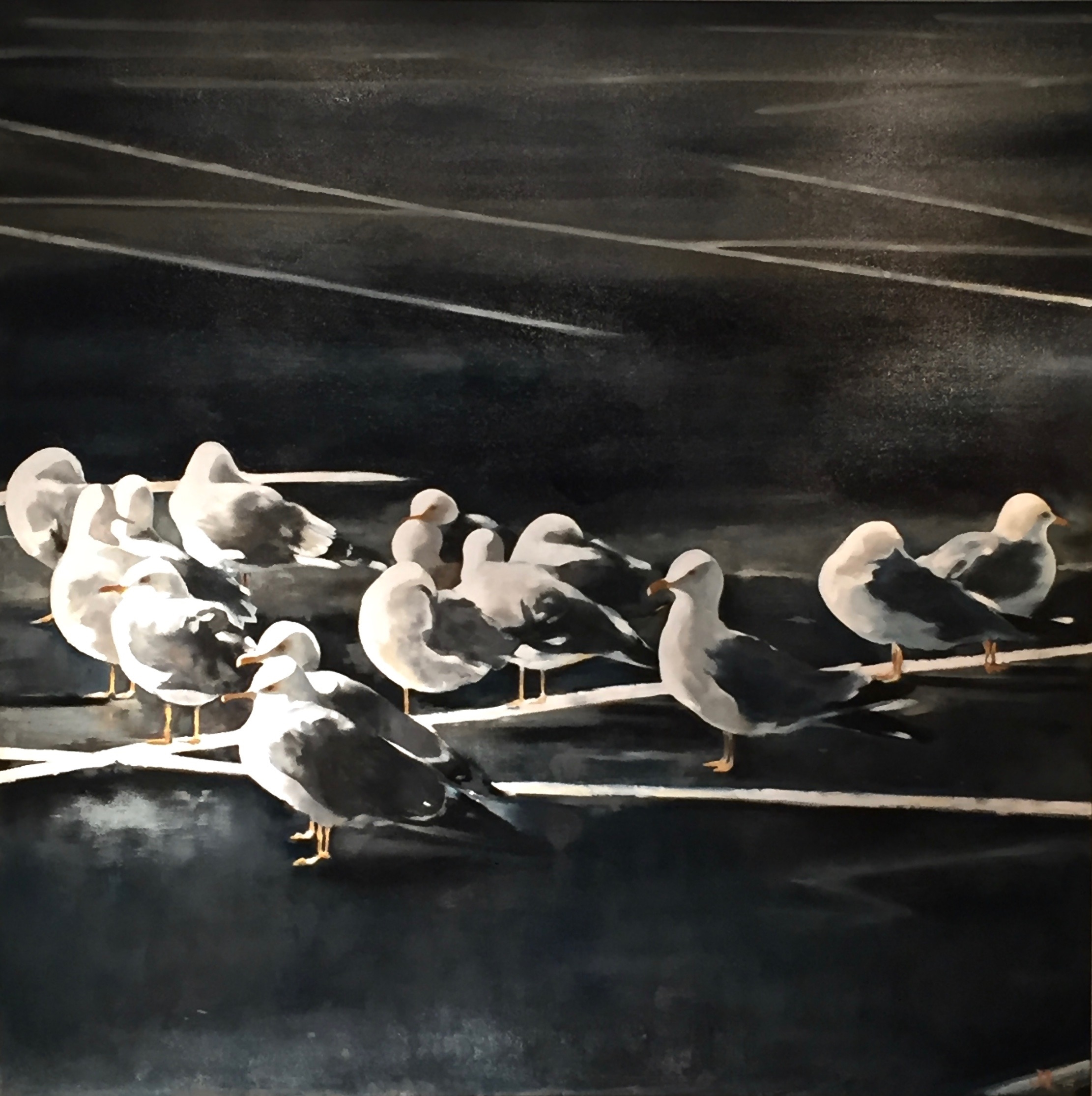 seagulls
