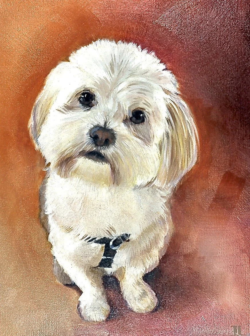Pet painting in oil by Jane Lucchino