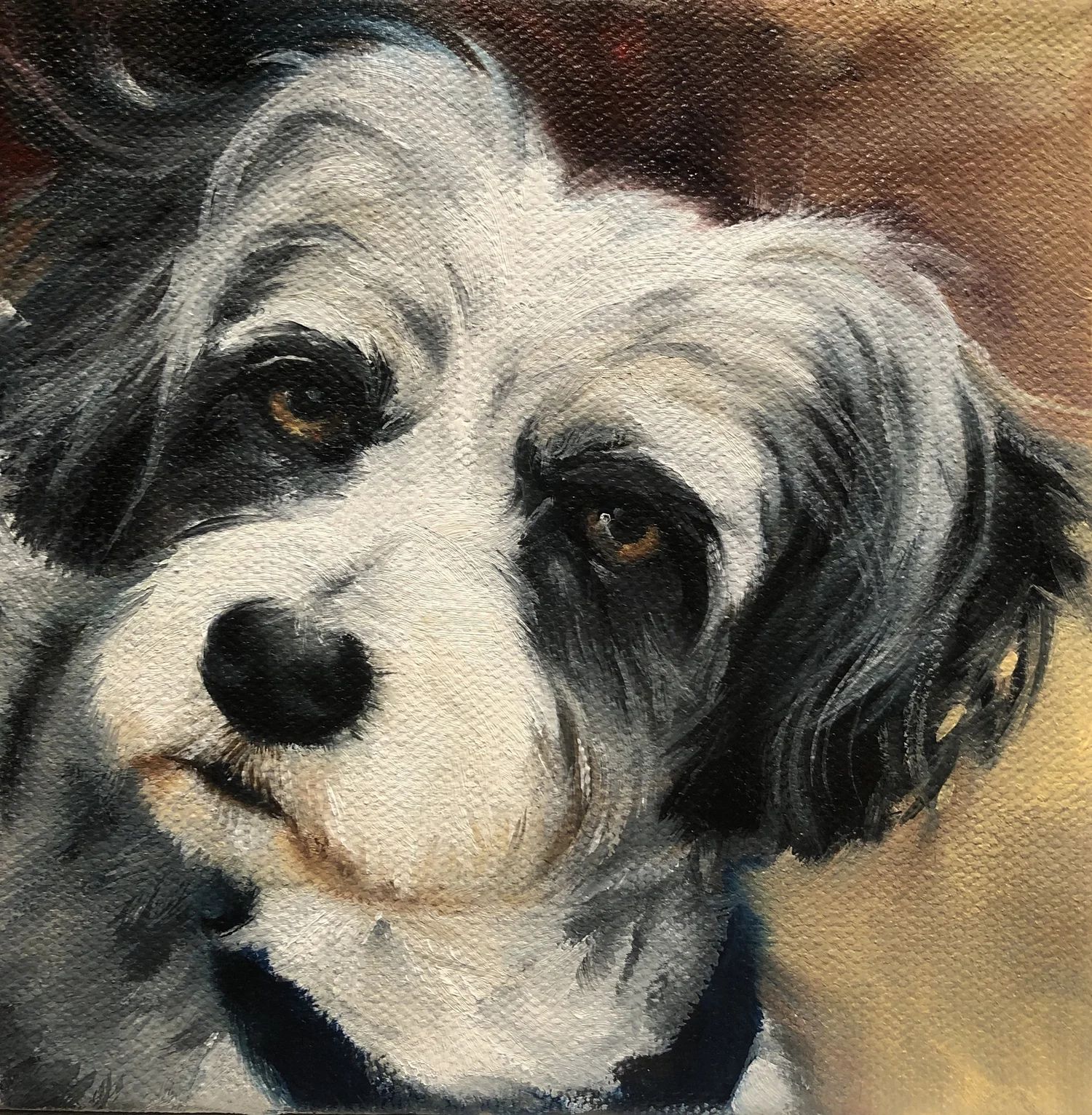 Pet painting in oil by Jane Lucchino
