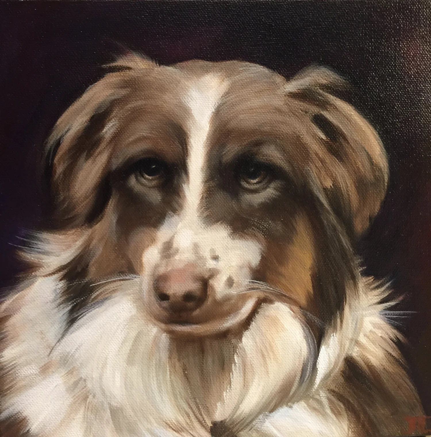 Pet painting in oil by Jane Lucchino