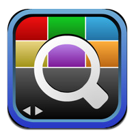 Flex Search Icon