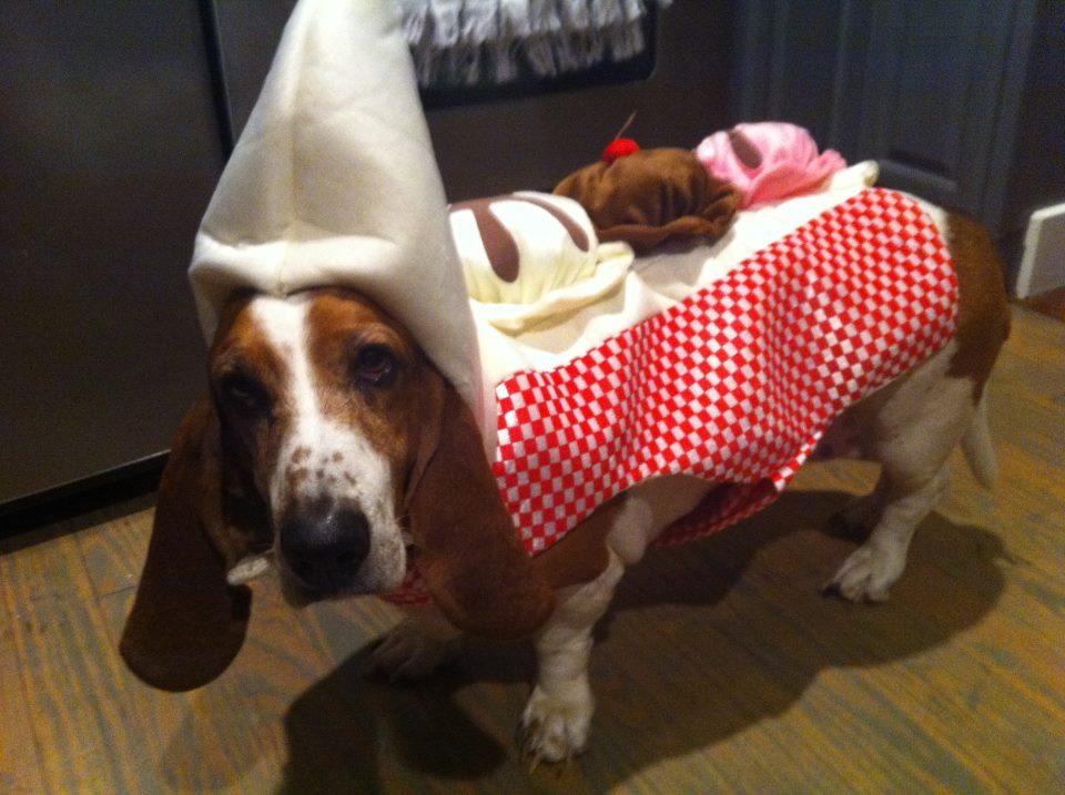 Halloween Kate