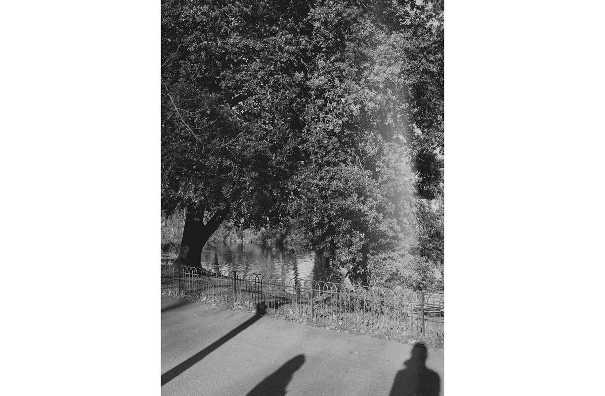 Victoria Park, 2017