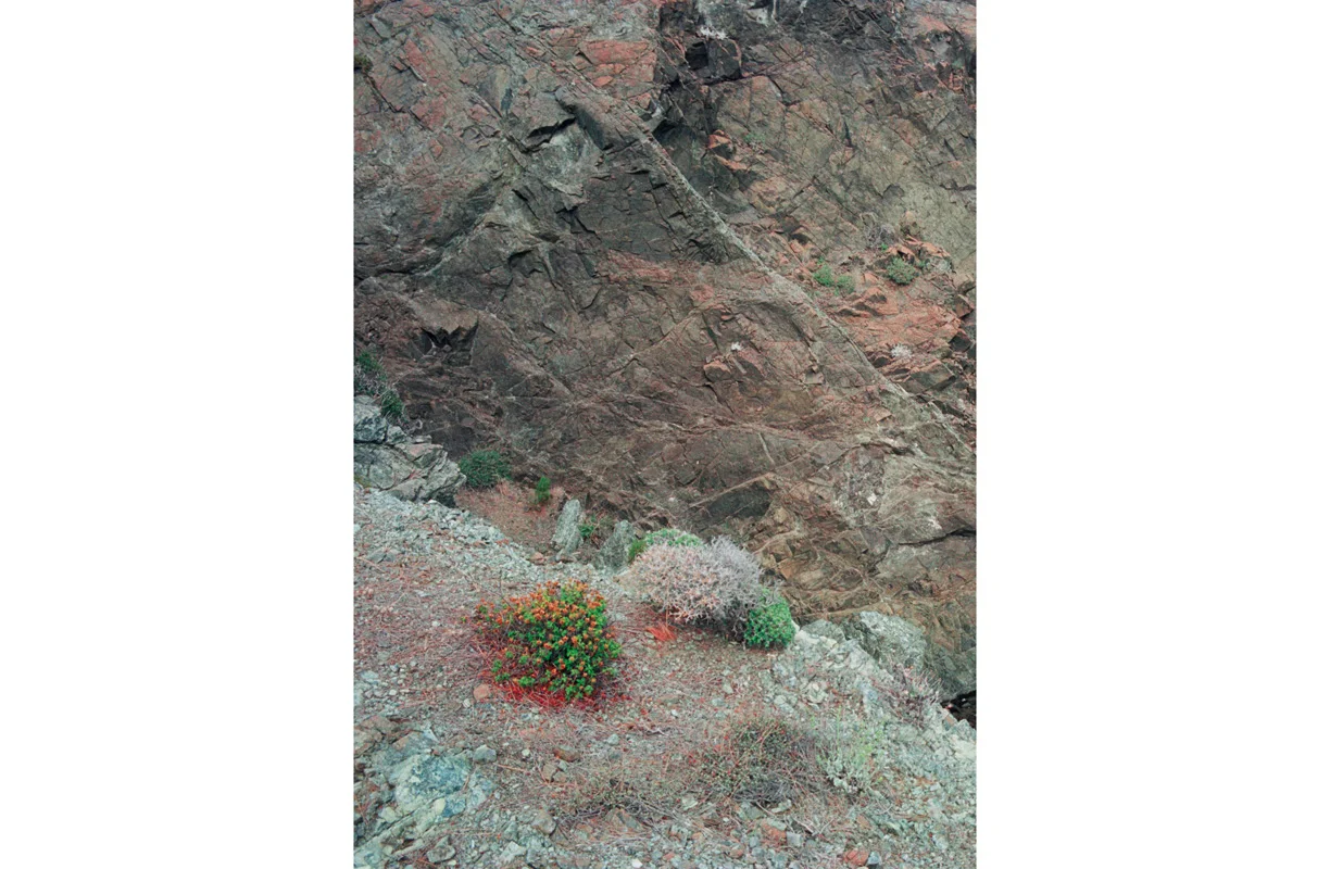 Datca, 2016