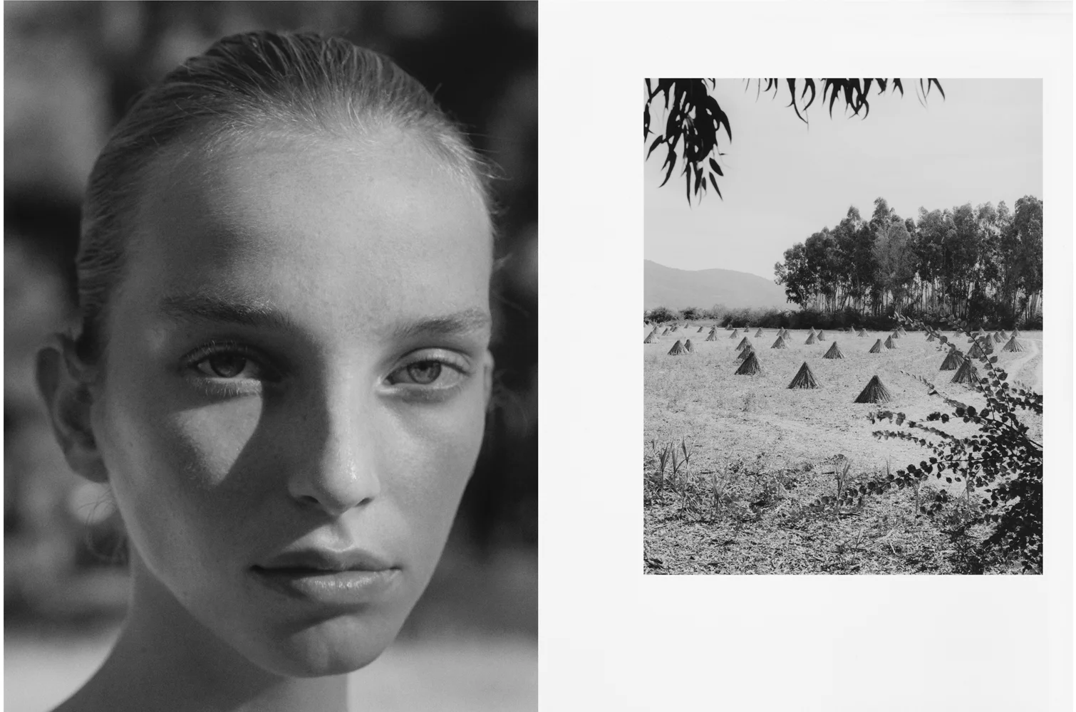 Jamilla, 2018
