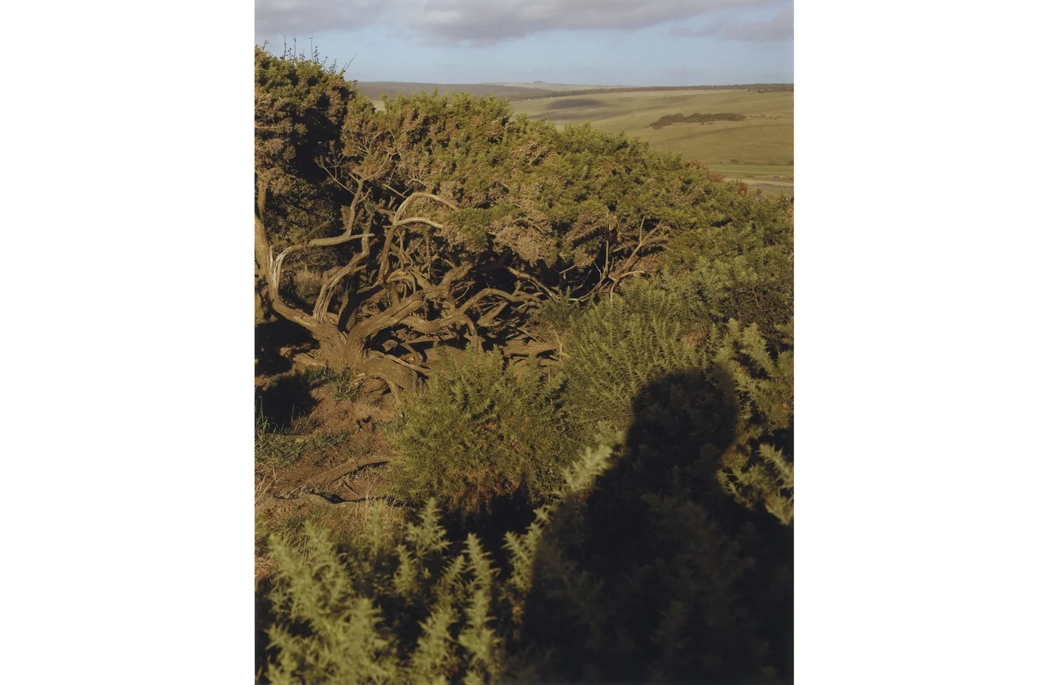 Eastbourne, 2016