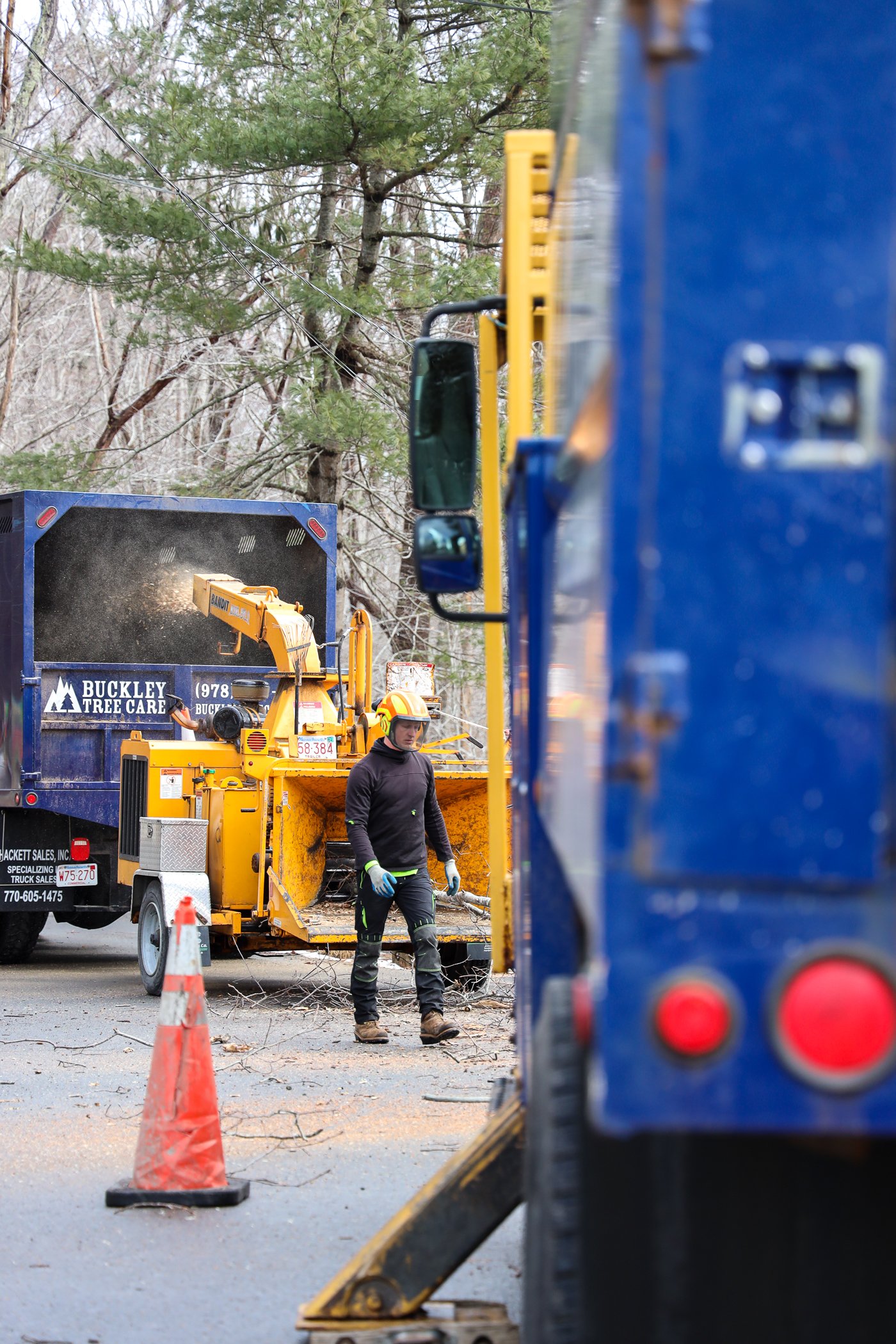 Local, Professional, Quality Tree Care.