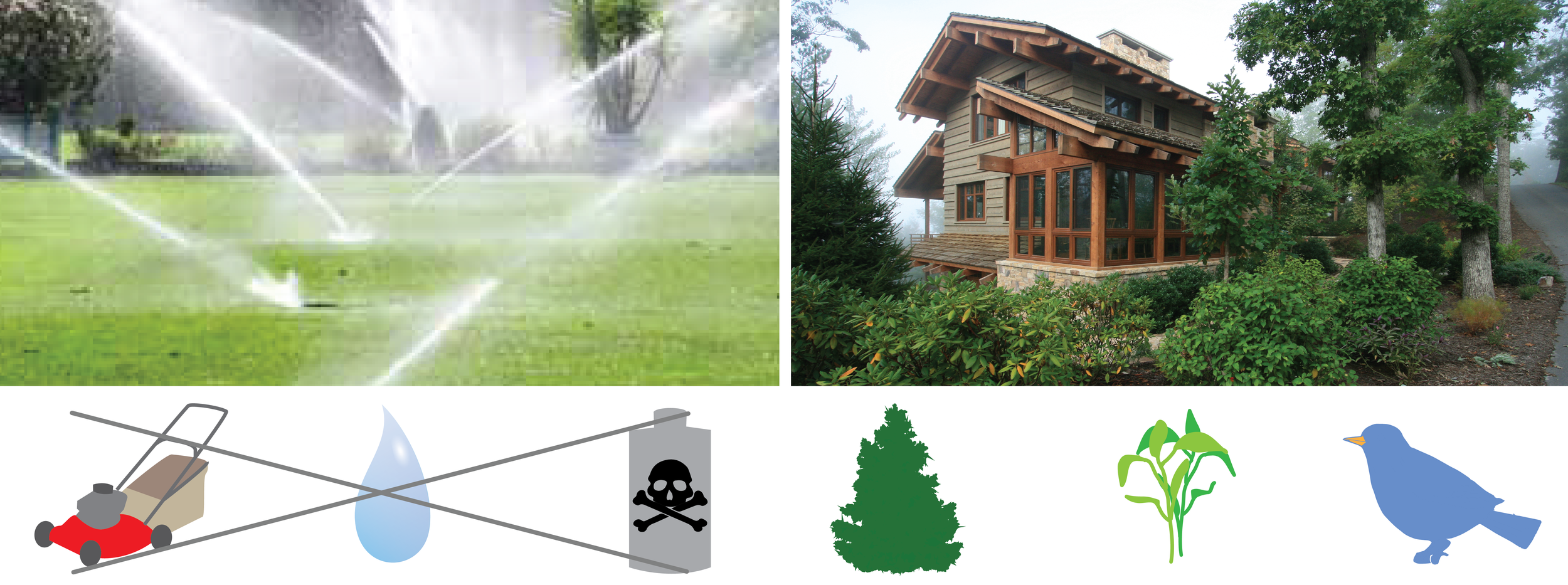 LOW IMPACT LANDSCAPING