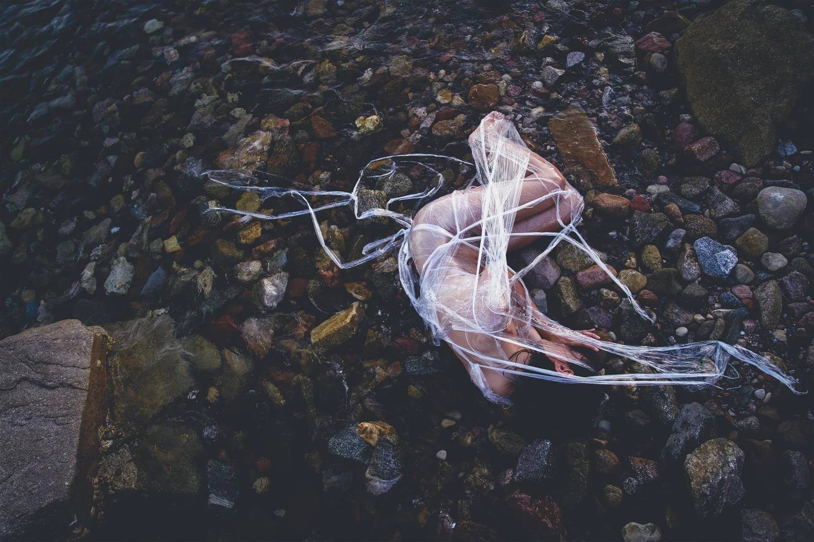 IMG_5021 (Large).JPG