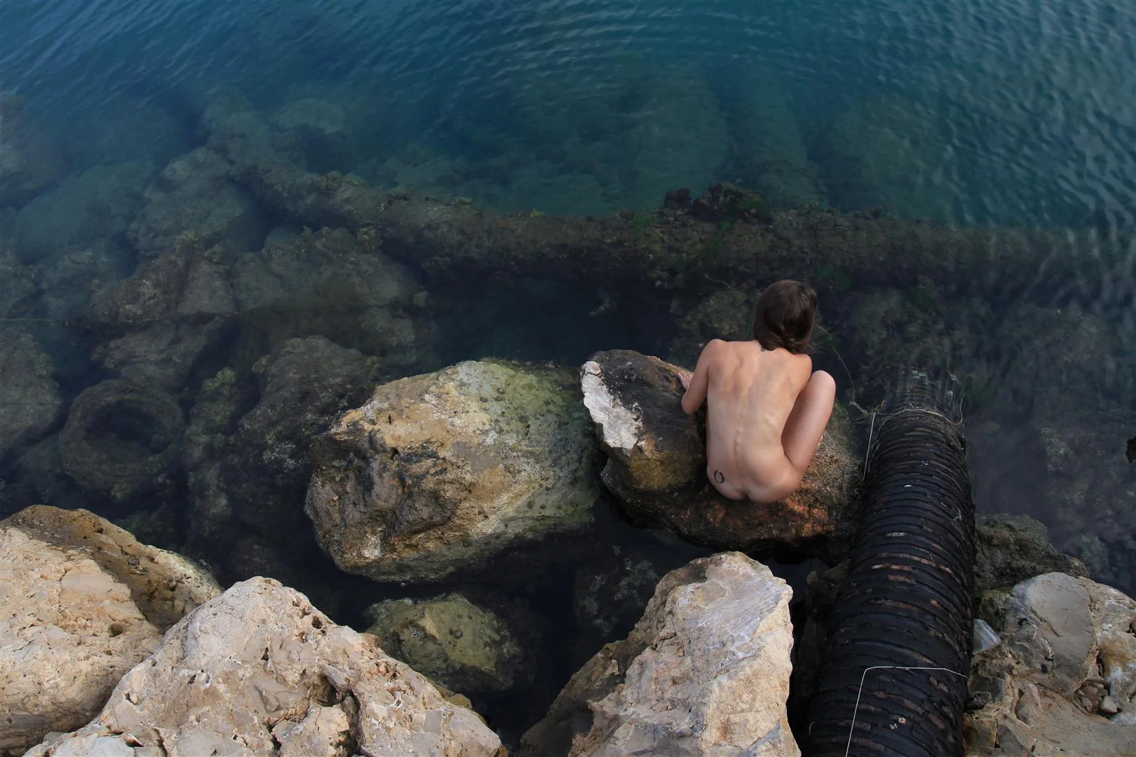 IMG_0218 (Large).JPG