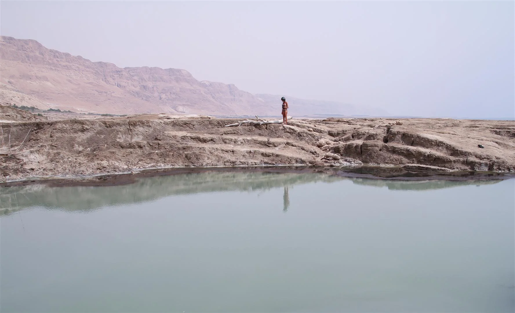 IMG_5879 (Large).JPG